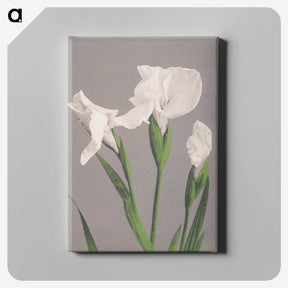1-9_Ogawa-Kazumasa_canvas