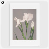 1-9_Ogawa-Kazumasa_picture