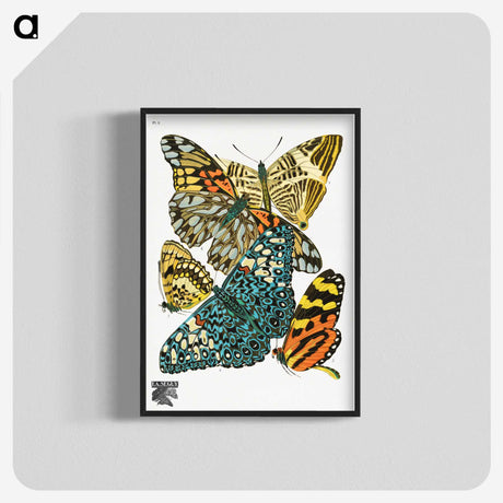 1-9_Papillons_blk-crop