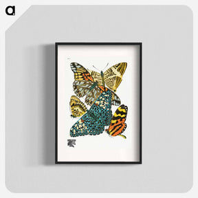 アートポスター-Vintage Butterflies
 - パピヨン Poster.