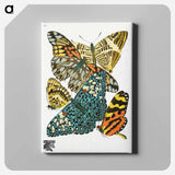 アートパネル-Vintage Butterflies
 - パピヨン Canvas.