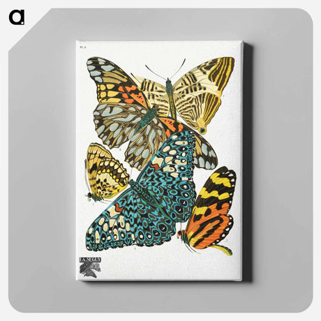 アートパネル-Vintage Butterflies
 - パピヨン Canvas.