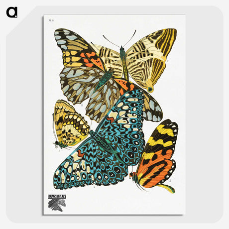 1-9_Papillons_picture-crop