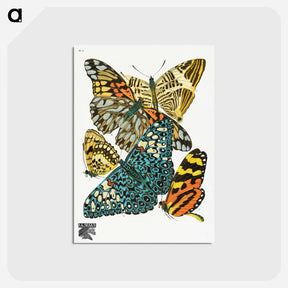 アートポストカード-Vintage Butterflies
 - パピヨン Postcard.