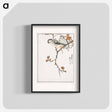 アートポスター-Siskin and Euonymus Alata
 - 鳥類図鑑 Poster.