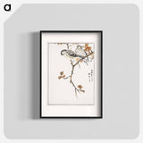 アートポスター-Siskin and Euonymus Alata
 - 鳥類図鑑 Poster.