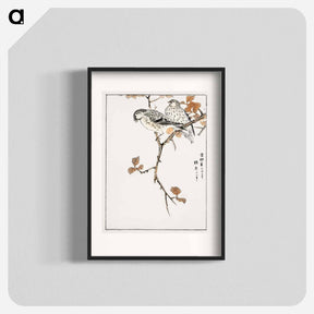 アートポスター-Siskin and Euonymus Alata
 - 鳥類図鑑 Poster.