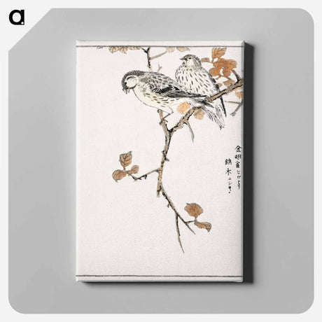 アートパネル-Siskin and Euonymus Alata
 - 鳥類図鑑 Canvas.