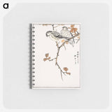 アートメモ帳-Siskin and Euonymus Alata
 - 鳥類図鑑 Memo.