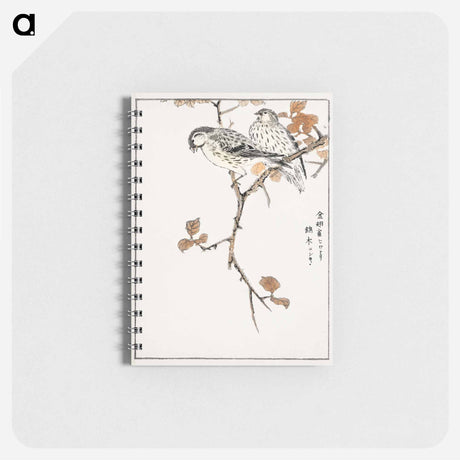 アートメモ帳-Siskin and Euonymus Alata
 - 鳥類図鑑 Memo.