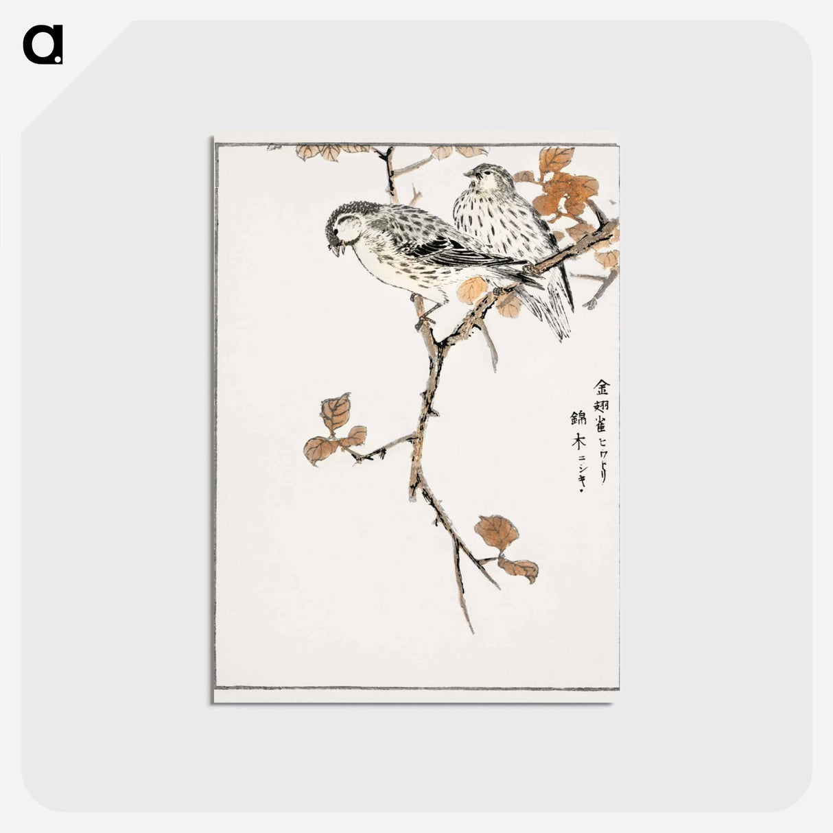 アートポストカード-Siskin and Euonymus Alata
 - 鳥類図鑑 Postcard.
