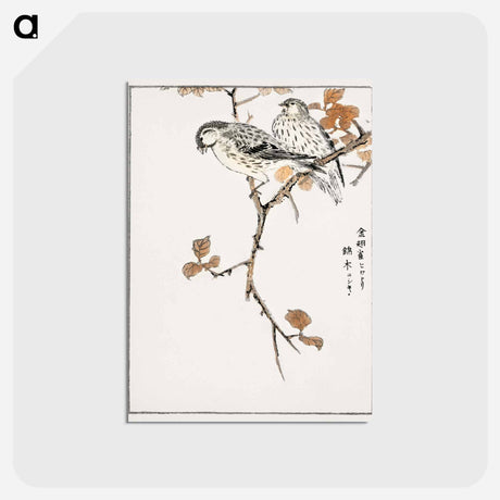 アートポストカード-Siskin and Euonymus Alata
 - 鳥類図鑑 Postcard.