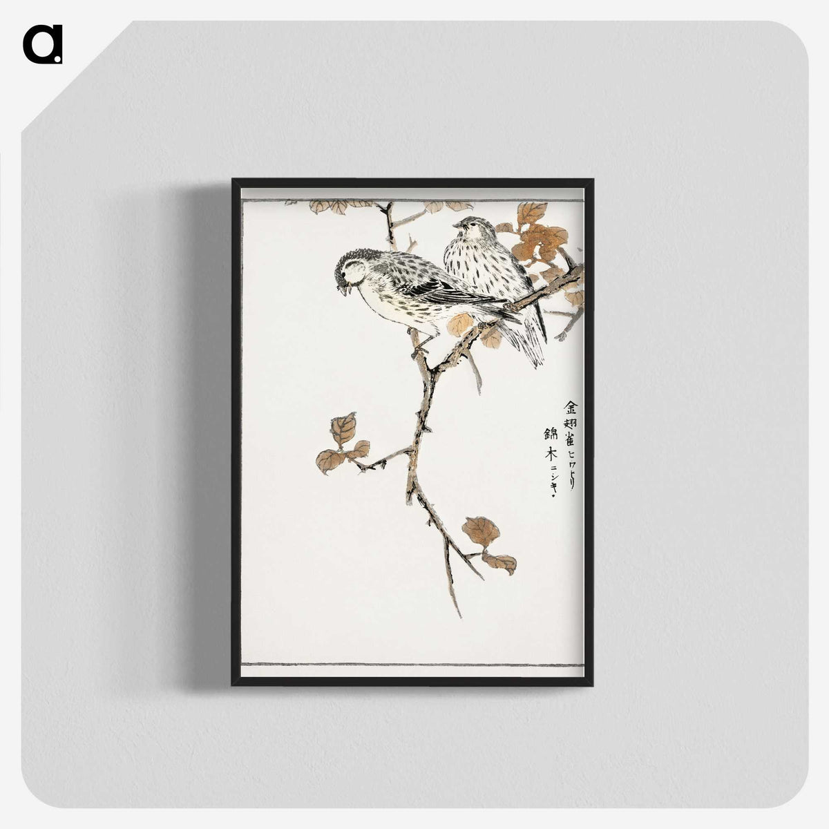 1-9_Pictorial-Monograph-of-Birds_blk-crop