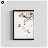 1-9_Pictorial-Monograph-of-Birds_blk-crop