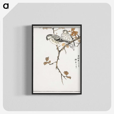 1-9_Pictorial-Monograph-of-Birds_blk-crop