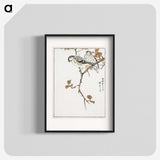 1-9_Pictorial-Monograph-of-Birds_blk