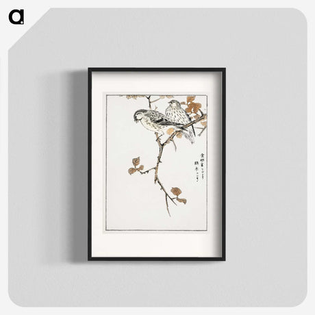1-9_Pictorial-Monograph-of-Birds_blk