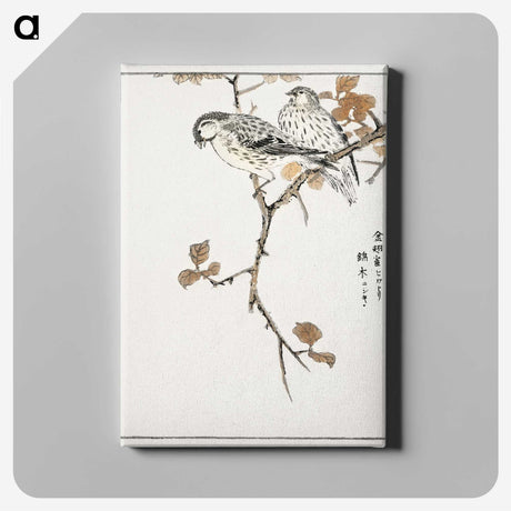 1-9_Pictorial-Monograph-of-Birds_canvas