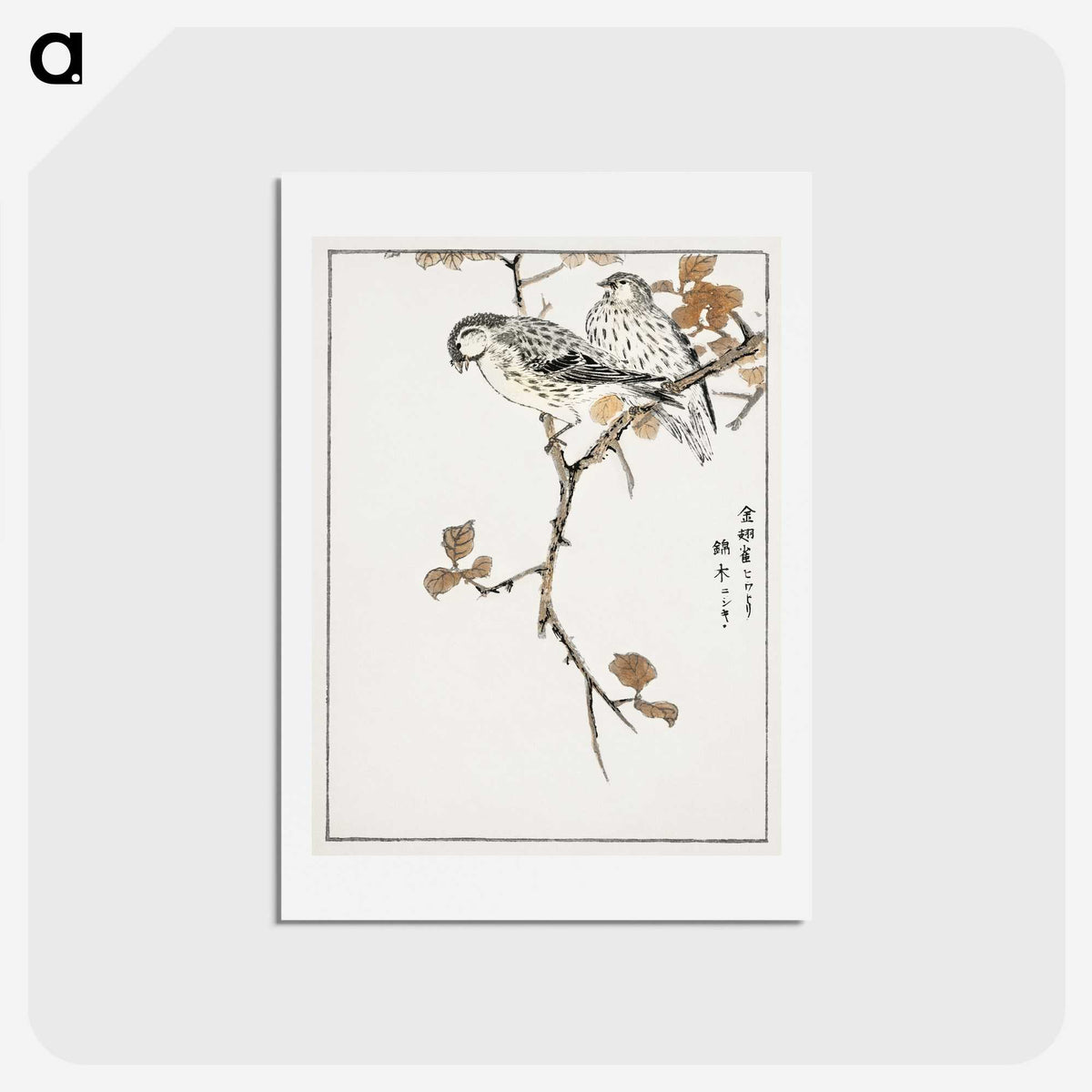 1-9_Pictorial-Monograph-of-Birds_hagaki