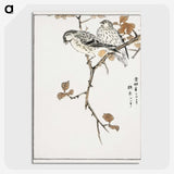 1-9_Pictorial-Monograph-of-Birds_picture-crop