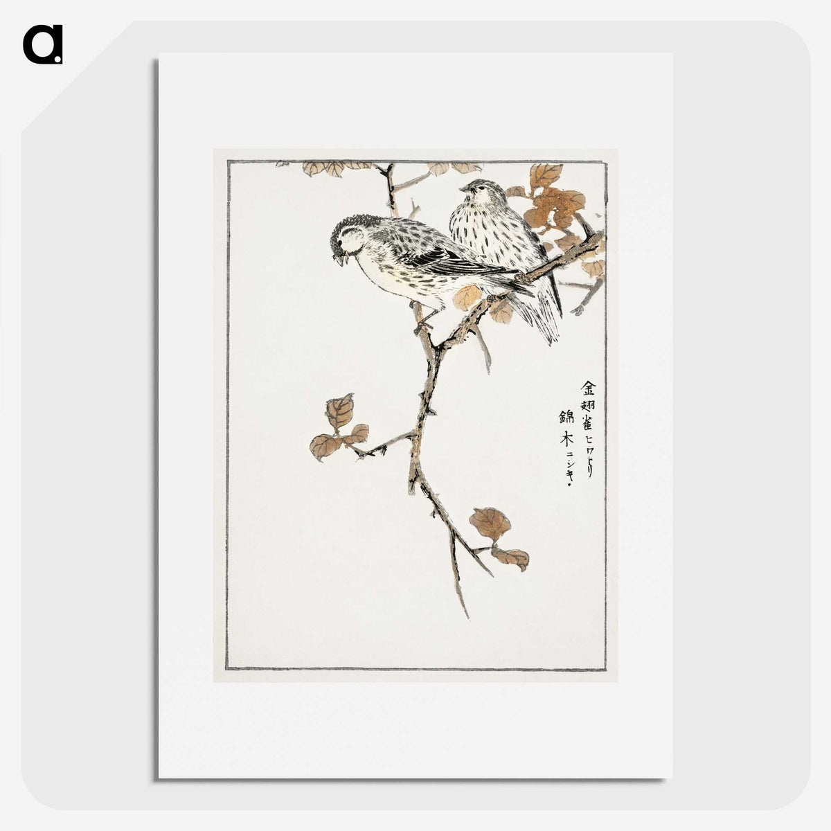 1-9_Pictorial-Monograph-of-Birds_picture
