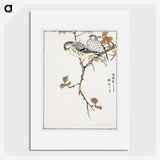 1-9_Pictorial-Monograph-of-Birds_picture