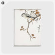 1-9_Pictorial-Monograph-of-Birds_postcard
