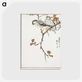 1-9_Pictorial-Monograph-of-Birds_postcard