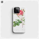 Rosa Centifolia Anglica Rubra - Pierre Joseph Redouté Phone Case.