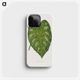 1-9_Plants-with-Colored-Foliage_phone