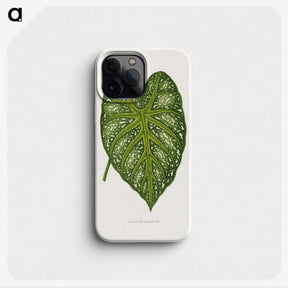 1-9_Plants-with-Colored-Foliage_phone