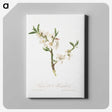 1-9_Pomona-Italiana_canvas