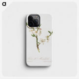 1-9_Pomona-Italiana_phone