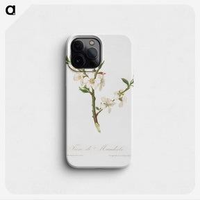 1-9_Pomona-Italiana_phone