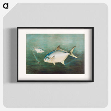 Pompano
 - サミュエル キルボーン Poster.