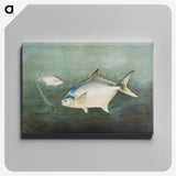 1-9_Samuel-Kilbourne_canvas