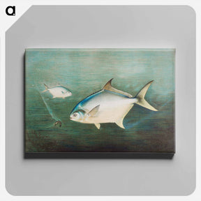 アートパネル-Pompano
 - サミュエル キルボーン Canvas.