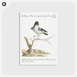 1-9_Saverio-Manetti_postcard