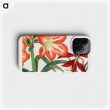 1-9_Seiyo-Soka-Zufu_phone