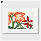 1-9_Seiyo-Soka-Zufu_picture