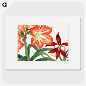 1-9_Seiyo-Soka-Zufu_picture