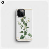 1-9_Stirpes-Novae_phone