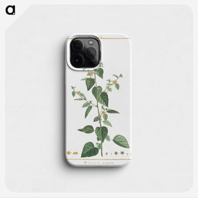 1-9_Stirpes-Novae_phone