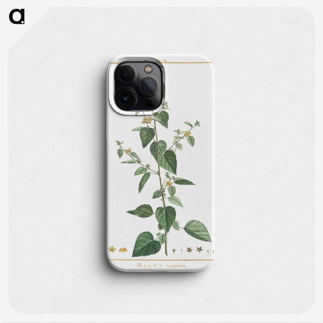 1-9_Stirpes-Novae_phone
