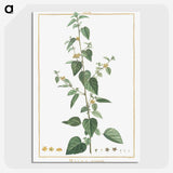 1-9_Stirpes-Novae_picture-crop