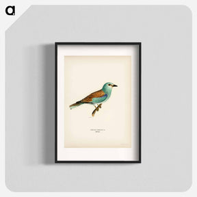アートポスター-European Roller
 - スヴェンスカ フォグラル Poster.