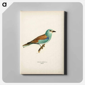 アートパネル-European Roller
 - スヴェンスカ フォグラル Canvas.