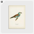 1-9_Svenska-Faglar_postcard