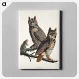 アートパネル-Great Horned Owl from Birds of America
 - アメリカの鳥たち Canvas.