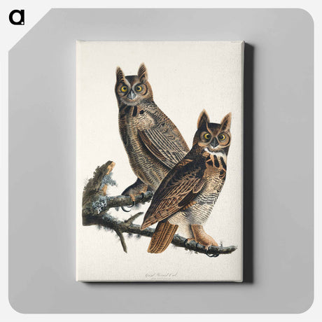 アートパネル-Great Horned Owl from Birds of America
 - アメリカの鳥たち Canvas.